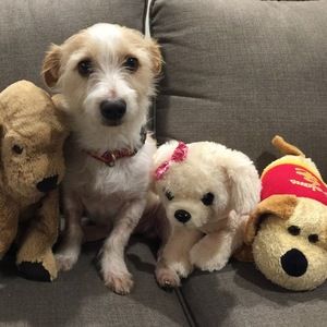 Meet your Posher, Jennifer